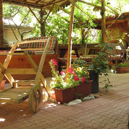 Olympos Natural Pansiyon Exterior photo
