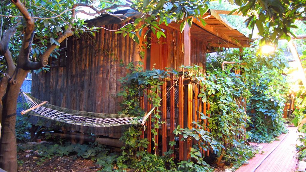 Olympos Natural Pansiyon Room photo