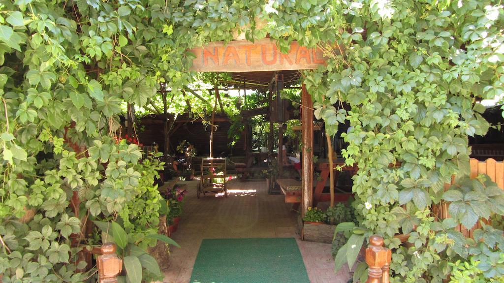Olympos Natural Pansiyon Exterior photo